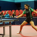 DSC00385 1024 20131010