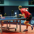 DSC00490 1024 20131010