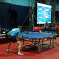 DSC00773 1024 20131010