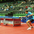 DSC00824 1024 20131010