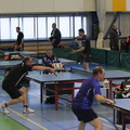 IMG 4973